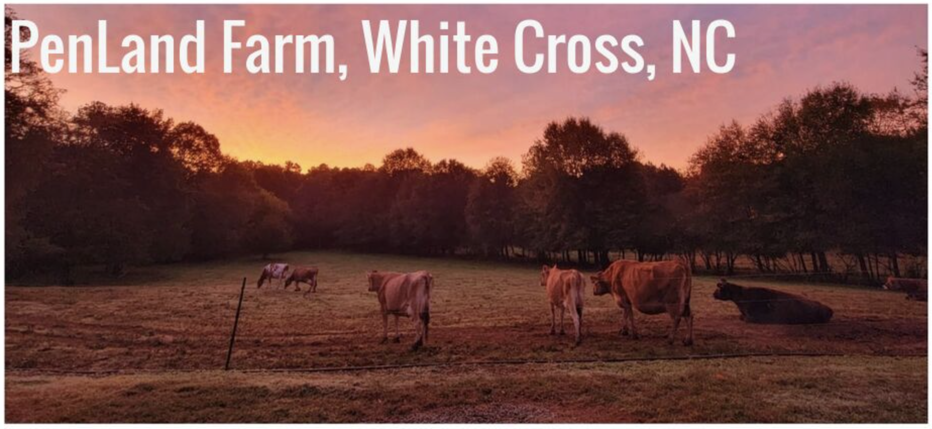 The Penland Farm