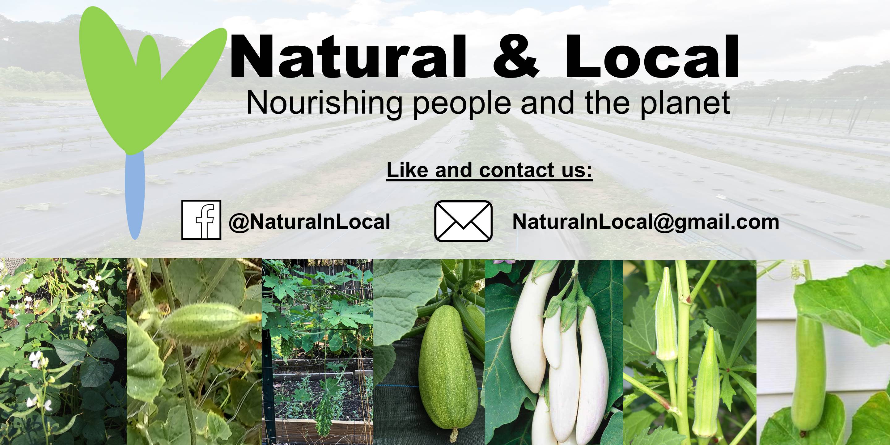 Natural and Local Farm
