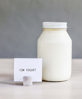 Cream top A2 organic yogurt