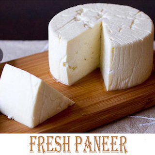 Paneer