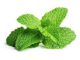 Mint