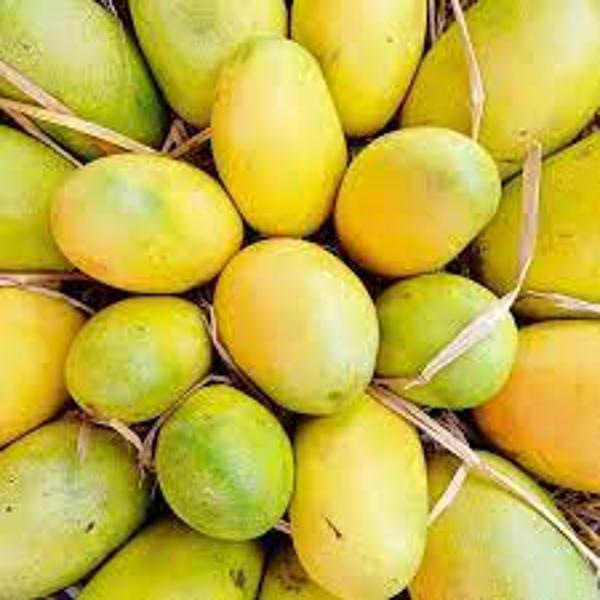Organic Cheruku Rasalu