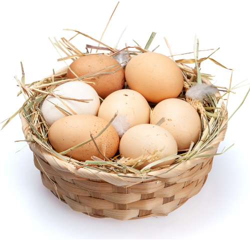 Free Range Fresh NatuKodi (Desi) Eggs