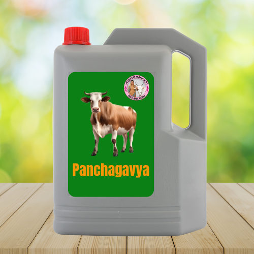 Panchagavya/Ashtagavya(ಪಂಚಗವ್ಯ/ಅಷ್ಟಗವ್ಯ)